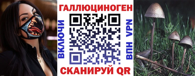 Купить где  Красноуральск  Галлюциногенные грибы MAGIC MUSHROOMS 